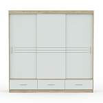 Шкаф-купе Amsterdam 250 BMS - Фото 4