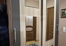 Шкаф-купе Феникс-лайт BMS