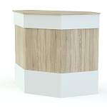 Ресепшен Рейна №3 BMS - Фото 7