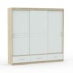 Шкаф-купе Amsterdam 250 BMS - Фото 3